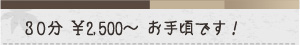 お手頃価格：30分2500円から